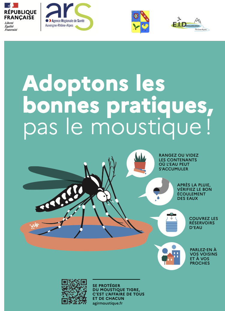 Affiche moustique tigre