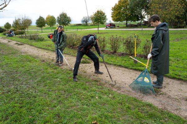 Verger conservatoire